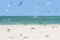 Mariner Beach Club